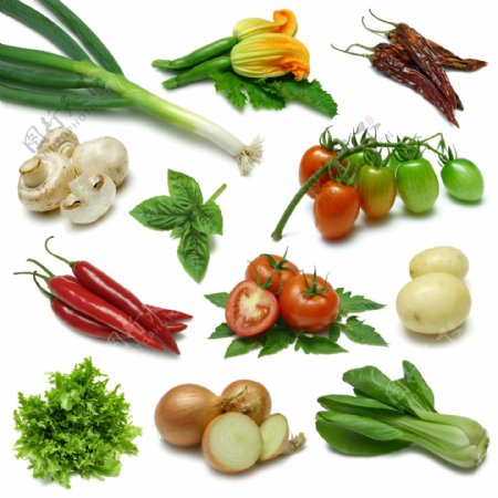 12种常见蔬菜高清图片素材