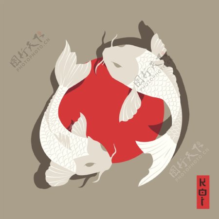中国风卡通白色鲤鱼