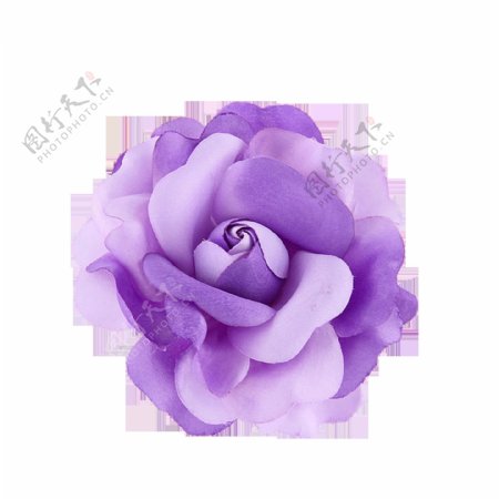 唯美紫色花朵元素