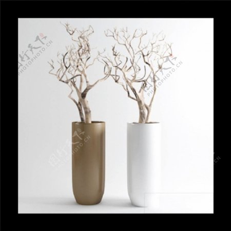 树枝装饰盆栽模型