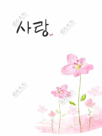 韩式粉色小花朵图片