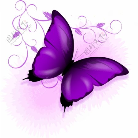 紫色渐变蝴蝶元素