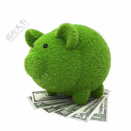 绿草小猪储钱罐和美元