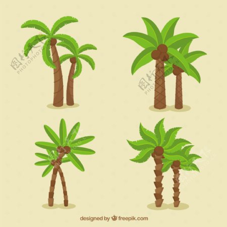 不同类型的棕榈树矢量素材