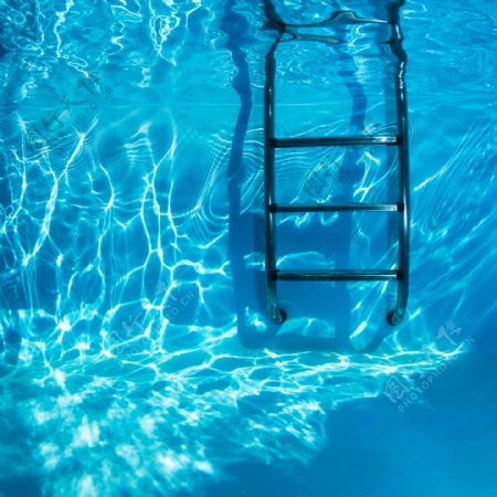 游泳池中的梯子图片