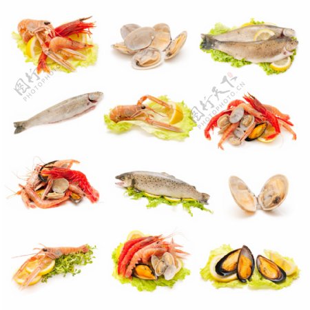 海鲜食物原料图片