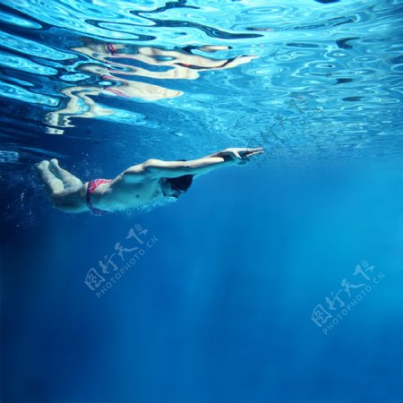 男子游泳运动员图片