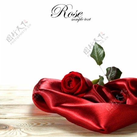 红色丝绸上的红玫瑰