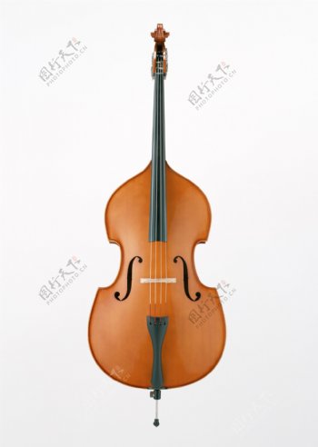大提琴5图片