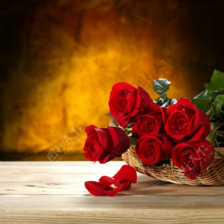 篮子里的红玫瑰图片