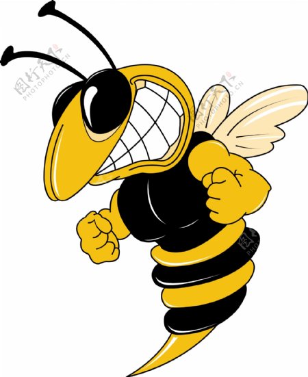 蜜蜂12