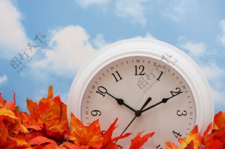 秋天树叶与时间图片