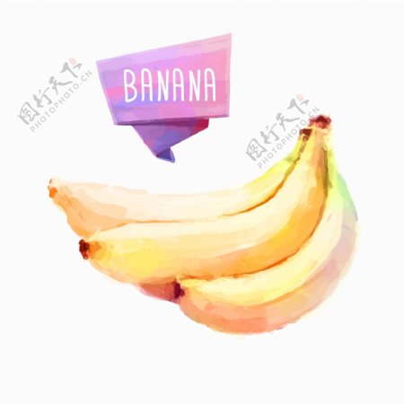 香蕉水果水彩矢量素材图片
