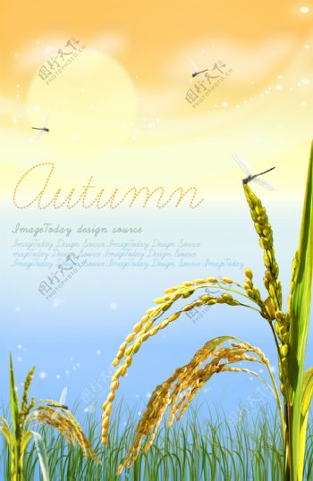 秋天色彩黄色蓝色英文绿色麦子