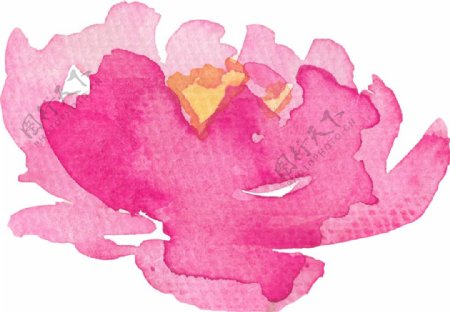 莲花座形粉色水彩墨图片素材