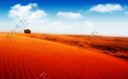 蓝天与沙漠风景图片