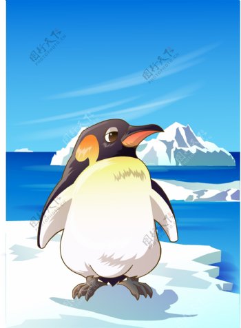 企鹅8
