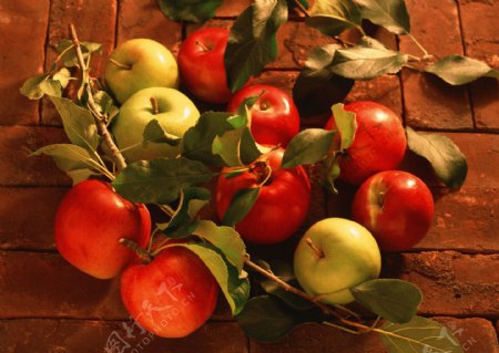 青苹果红苹果摄影图片图片