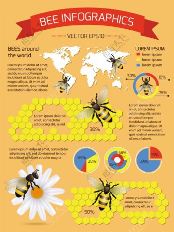 图表对蜜蜂