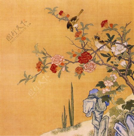 花鸟画中国古画传统国画05