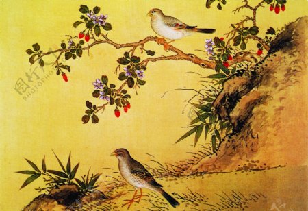 花鸟画中国古画传统国画10