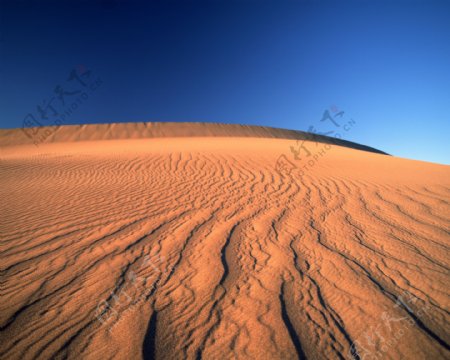 热带沙漠风景图片