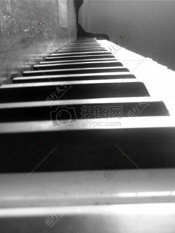 钢琴键3.JPG