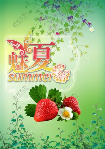 魅夏草莓海报