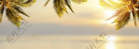 椰子树夕阳风景图片