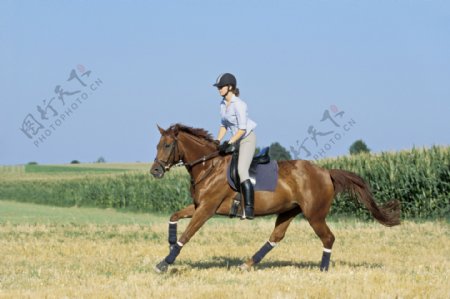 田园上骑马的女孩图片