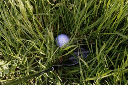 草丛中的高尔夫球具
