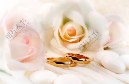 戒指与花朵图片