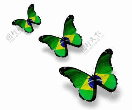 巴西国旗蝴蝶图片