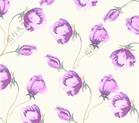紫色花卉无缝背景矢量图