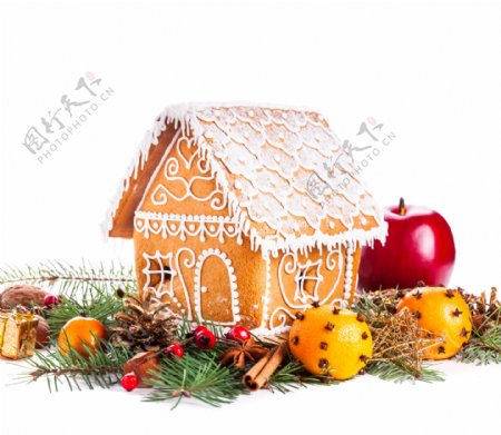 食品松树枝和小房子图片