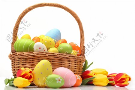 复活节彩蛋与美丽郁金香图片