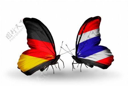 德国国旗与蝴蝶图片