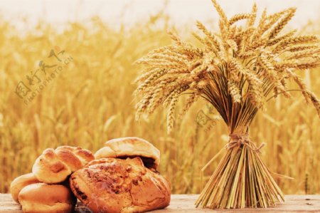 面包与小麦的特写图片