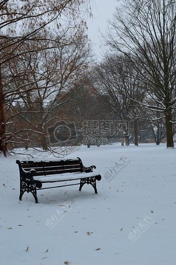 冬天公园里的长凳