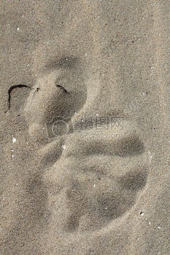 沙子上的痕迹
