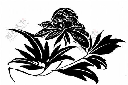 花鸟图案两宋时代图案中国传统图案046