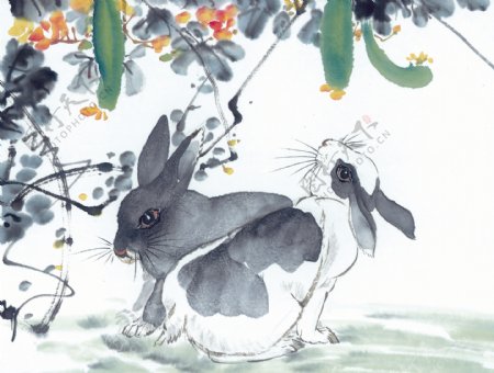兔十二生肖中国画0026