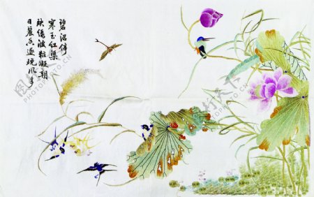 古代插图鸟语花香056
