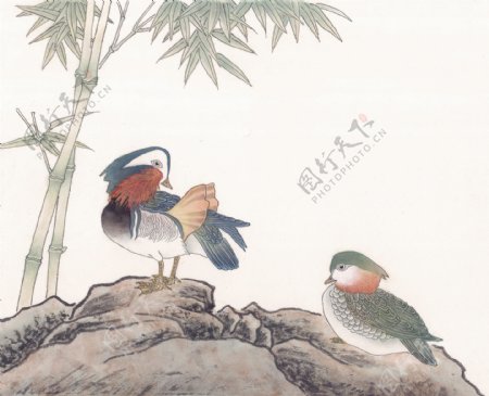 花鸟中国画49