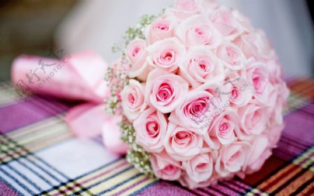 粉色玫瑰花球图片