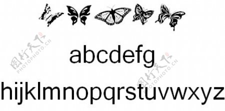 蝴蝶的字体