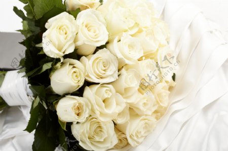 浪漫白玫瑰花束图片