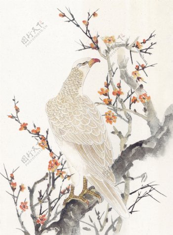 花鸟中国画18