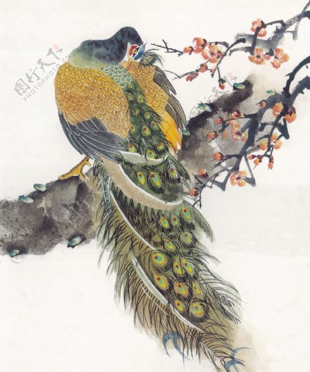 花鸟中国画59