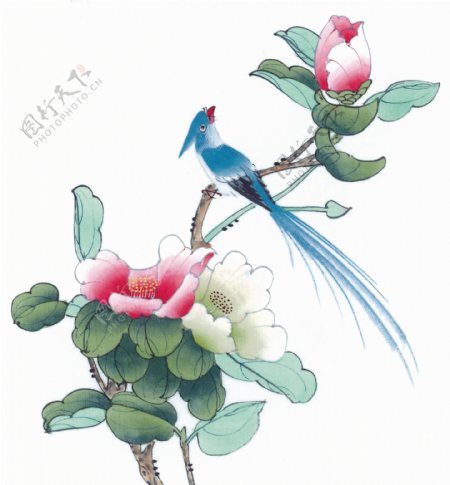 花鸟中国画
